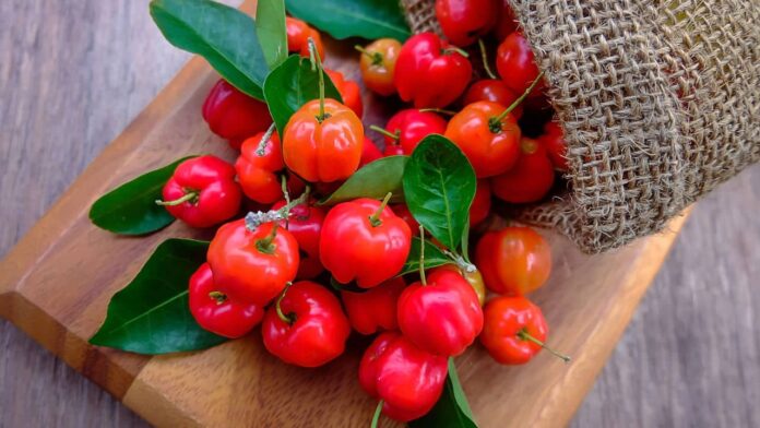 vitamina-c-com-plantacao-de-frutas-faceis-em-seu-jardim